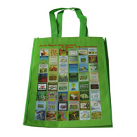 三亚LB11覆膜无纺布广告袋